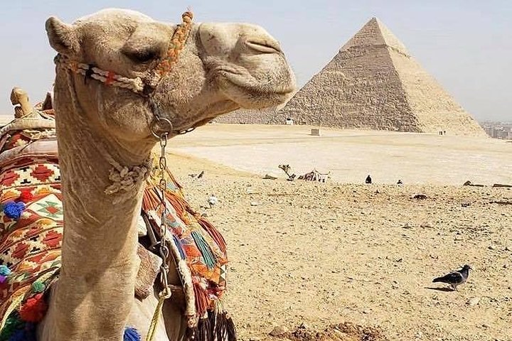 GEM and Giza Pyramids Private Tour From Cairo Hotels & Airport - Photo 1 of 25