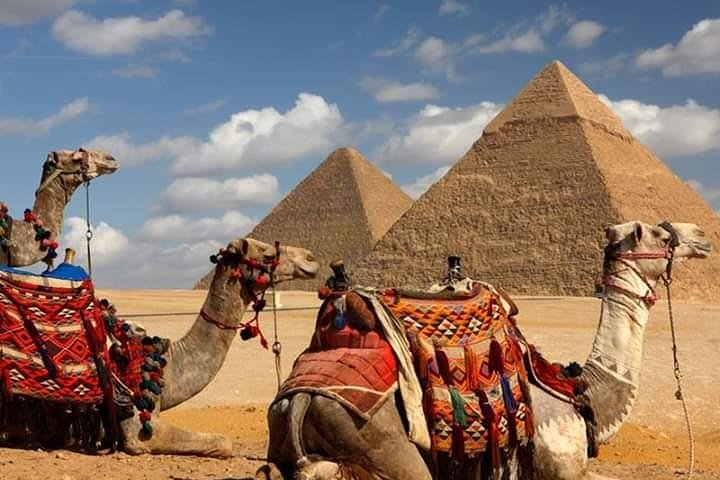 Giza pyramids sunset camel ride with local dinner - Photo 1 of 5