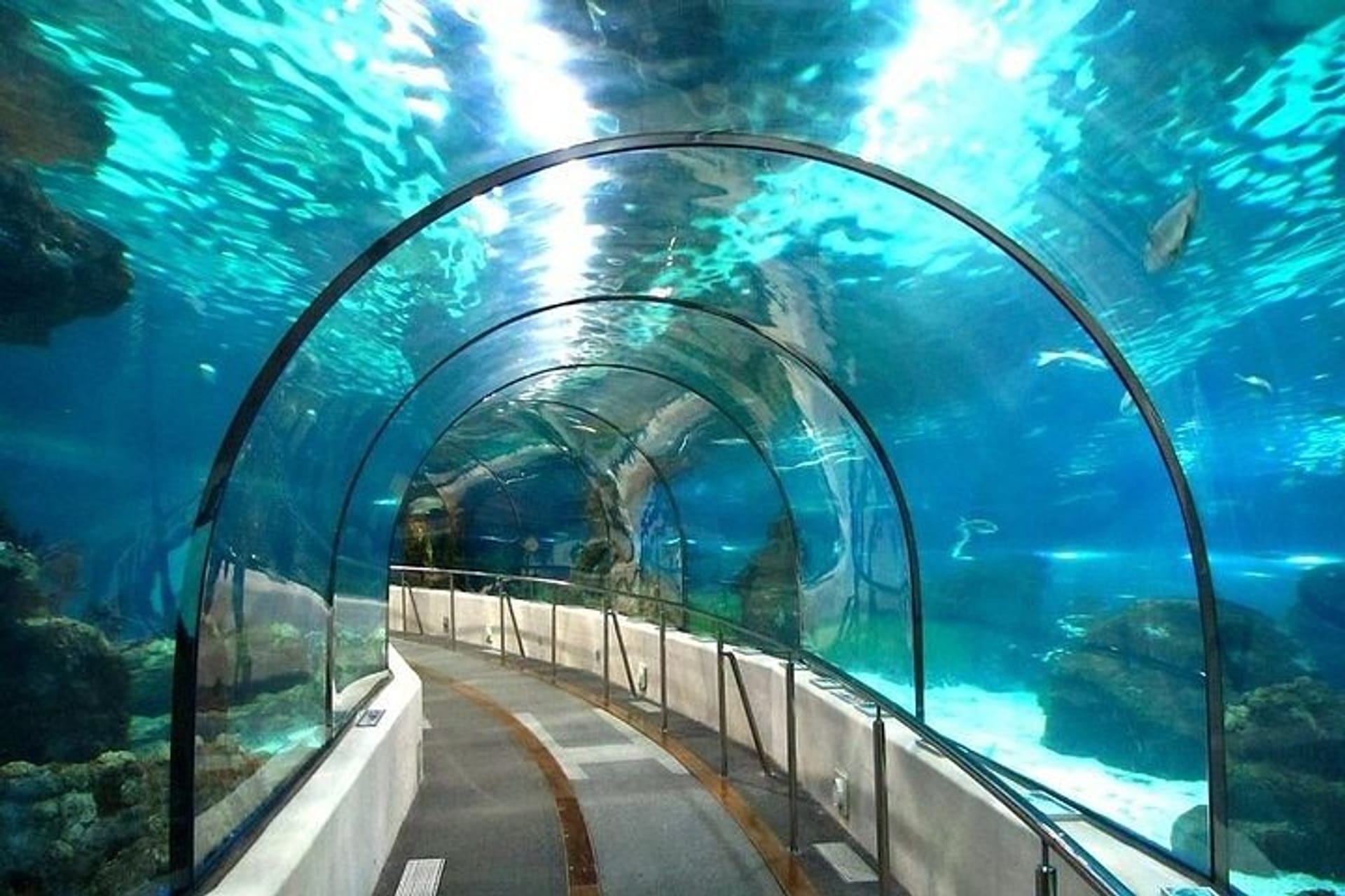 Hurghada Grand Aquarium