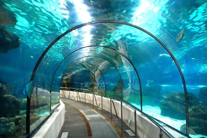 Grand Aquarium Discovery with Tickets & Transfer From Hurghada - Photo 1 of 4