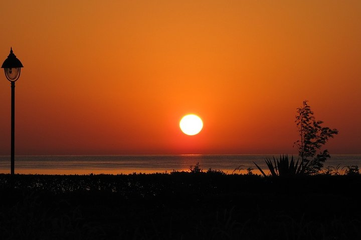 Half Day Abu Dabab Beach - Marsa Alam  - Photo 1 of 2