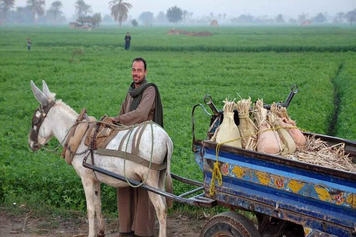 Half-Day Egypt Country Side Farm Tour with Pick Up - Photo 1 of 5