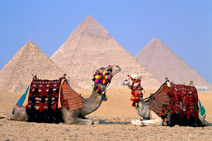 Half Day Tour To Giza Pyramids And Sphinx - Photo 1 of 6