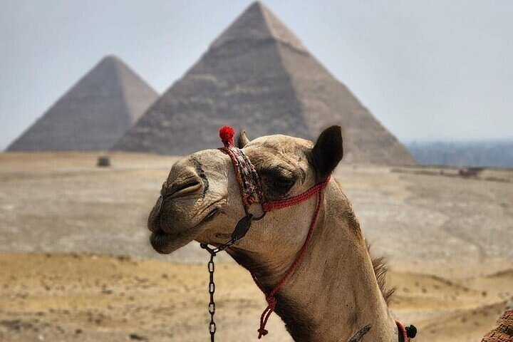 Half Day Tour To Giza Pyramids And Sphinx - Photo 1 of 8