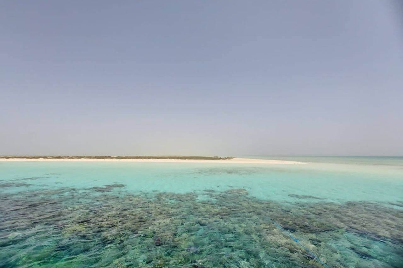 Hamata: Snorkeling + Roundtrip Transfer + Lunch - Photo 1 of 25