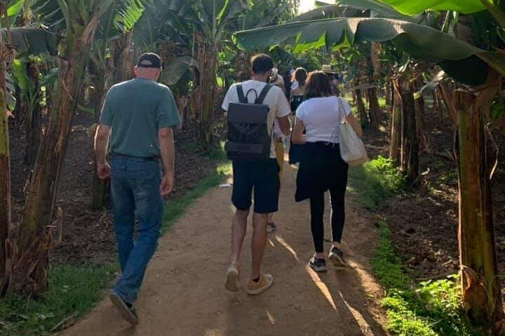 Having Breakfast At Green Farm - Photo 1 of 3