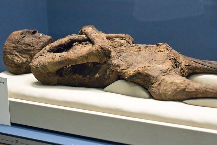 Historical Day Tour To Luxor And Mummification Museums - Photo 1 of 7