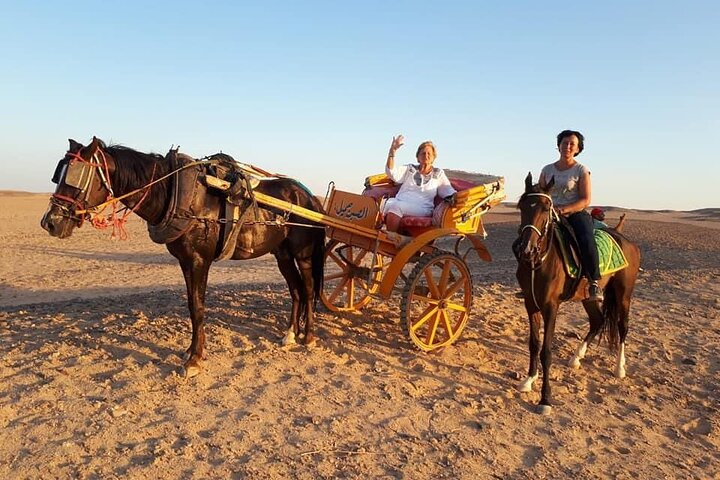 Horse Carriage adventure through Hurghada Desert  - Photo 1 of 6