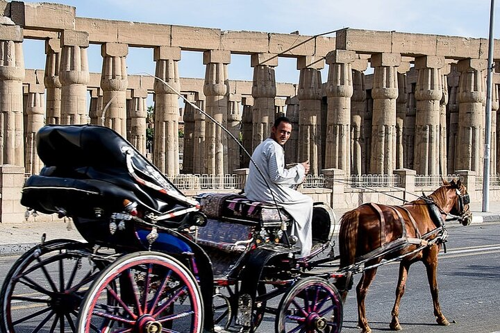 Horse Carriage City Tour in Luxor city with meal and soft drink - Photo 1 of 7