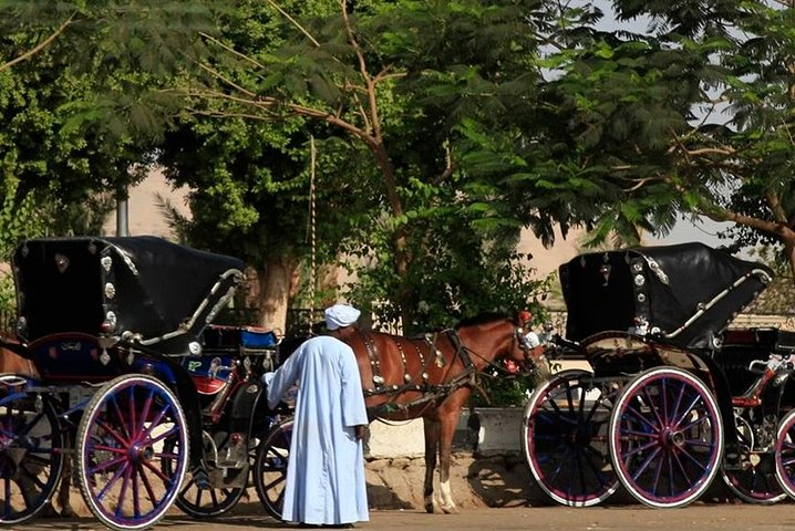 Horse carriage in Aswan - Photo 1 of 5