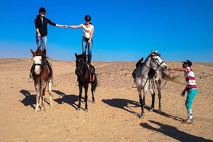 Hurghada: Sea & Desert Horseback Riding, Stargazing, Dinner, Show - Photo 1 of 10