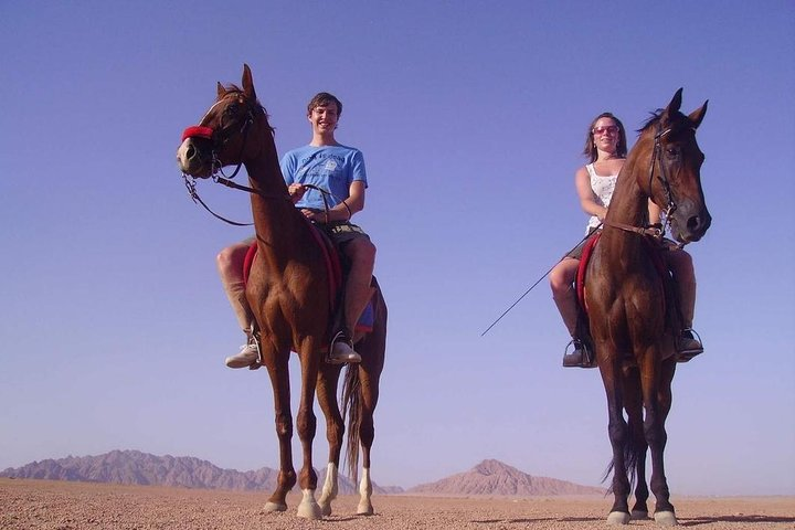Horse Riding in the desert