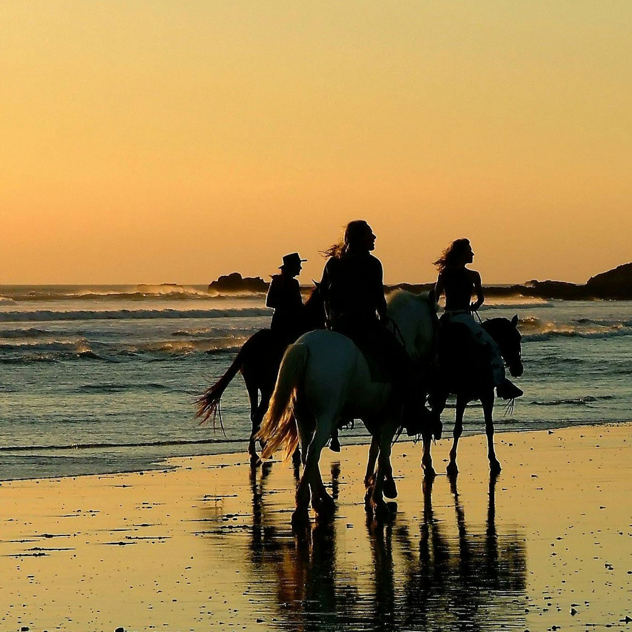 Horse Riding Tour: Sea and Desert with Transfer - Hurghada - Photo 1 of 10