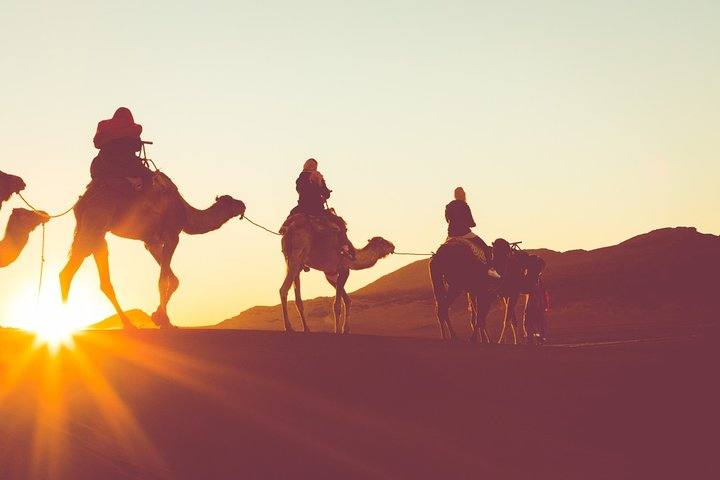 Horseback riding and camel or donkey ride luxor