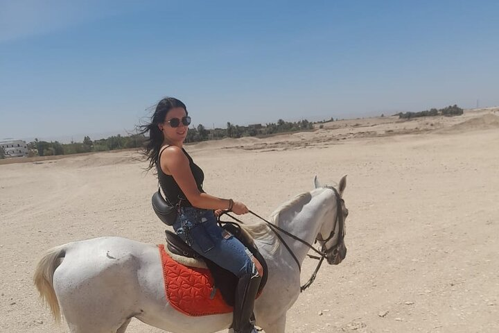 Hours ride or camel ride or donkey ride in the village of luxor. - Photo 1 of 3
