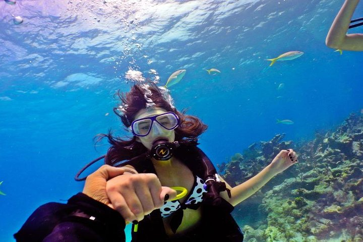 Hurghada: 6-Hour Dive Trip with Two Dive Sites - Photo 1 of 16