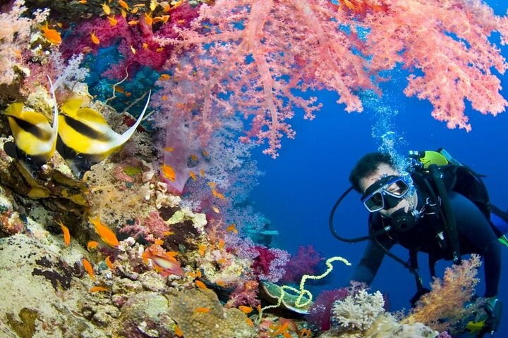 Hurghada Diving Adventure tour - Photo 1 of 6
