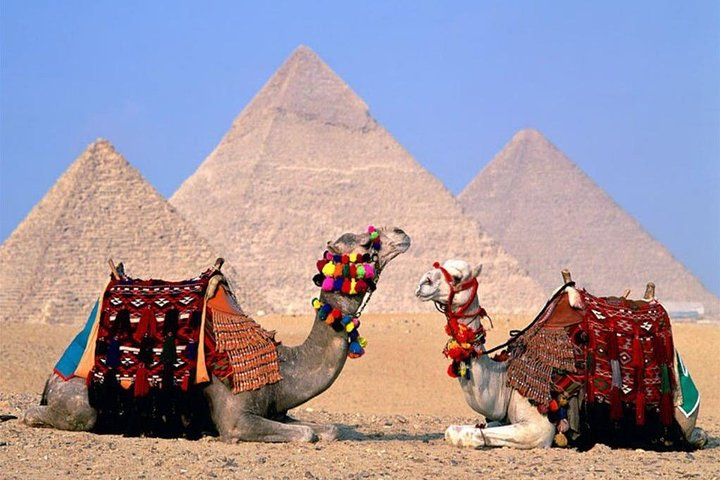 parking-lot_camels_giza_egypt