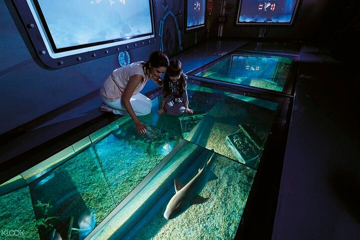 Hurghada Glass-Bottom Speed Boat with Fish-Eye View - Photo 1 of 7