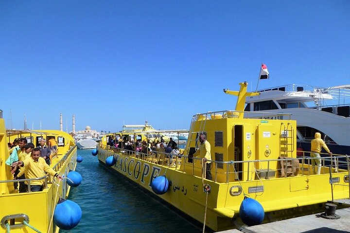 Paradise conquest snorkelling & underwater life adventure - Photo 1 of 6