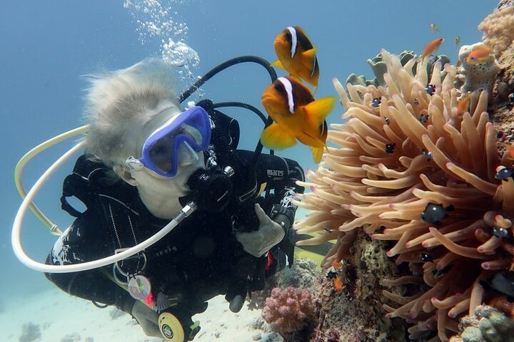 Hurghada Snorkeling Trip to Orange Bay Island - Photo 1 of 12