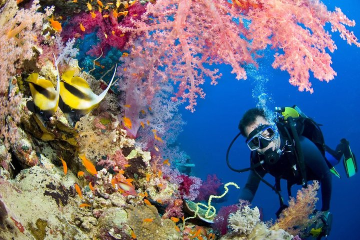 intro diving sharm el sheikh