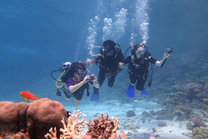 scuba diving