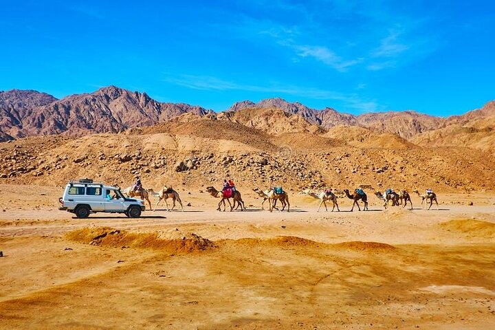 Jeep and Camel Safari 2 Days and 1 Night from Dahab - Photo 1 of 9