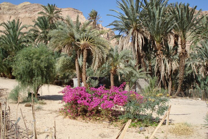 Jeep Tours Experiences from Dahab - Photo 1 of 25