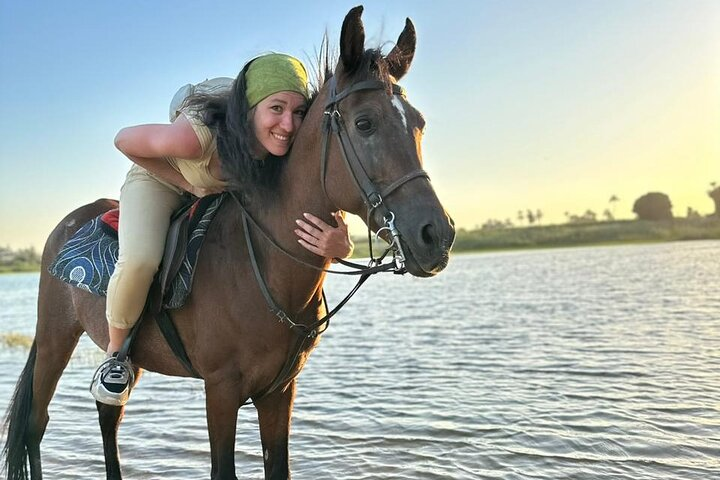 Luxor amazing horse riding tour in West bank with transfer  - Photo 1 of 14