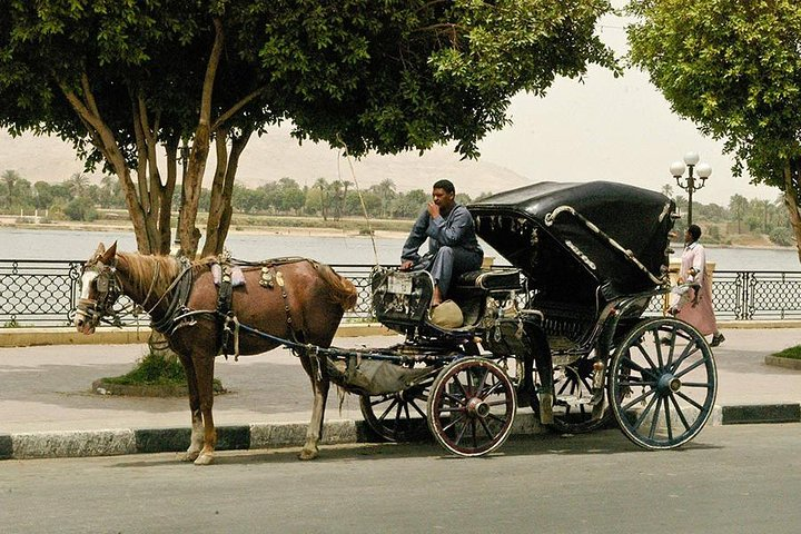 Luxor City Tour By Horse Carriage - Photo 1 of 6