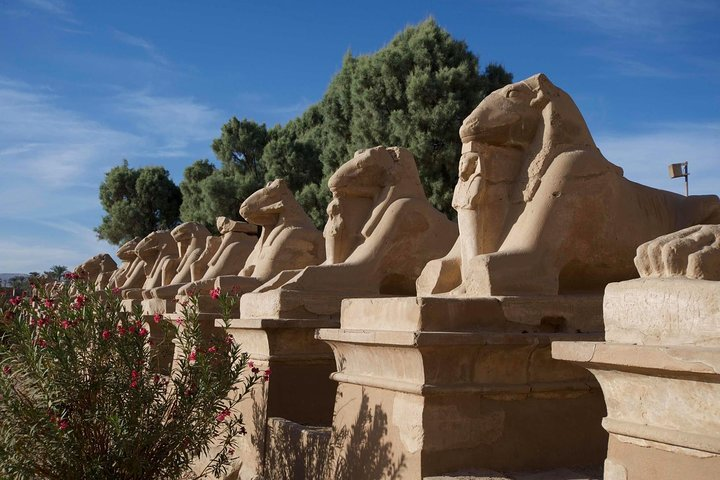 Luxor Day Tour from Marsa Alam and Hurghada  - Photo 1 of 8