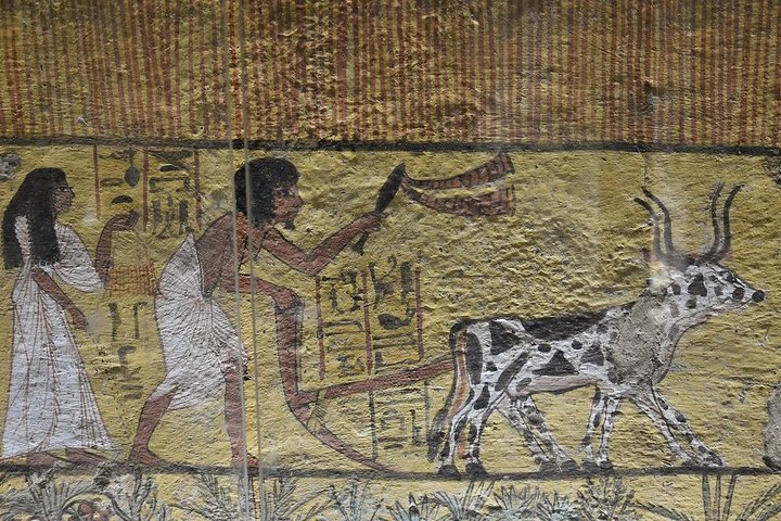 Luxor Dendera tour with a felucca from Hurghada by a private car - Photo 1 of 2