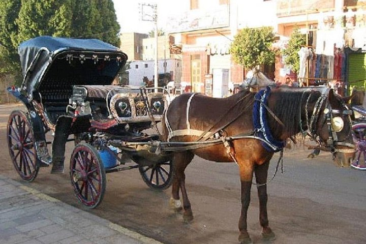 Luxor: Horse-Drawn Carriage - Photo 1 of 2