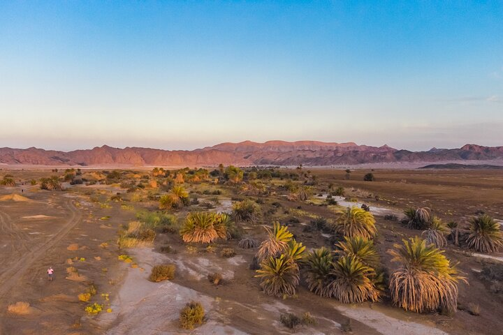 Nature Oasis Overview