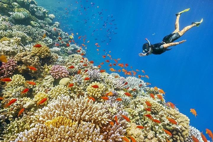 Giftun Snorkelling Trip - hurghada day tours