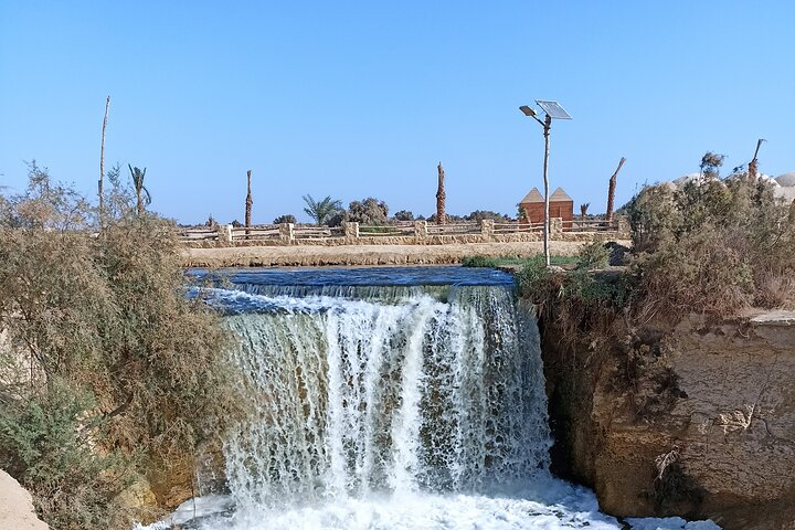 Meditation and camping in Fayoum Oasis 2-Days Activity - Photo 1 of 6