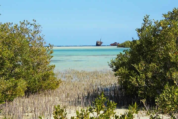 Nabq National Park Day Tour from Dahab - Photo 1 of 8