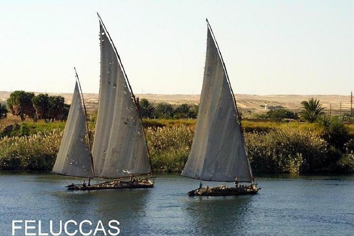 Nubian Village &botanical garden Tour with fellouca tour From Aswan - Photo 1 of 5