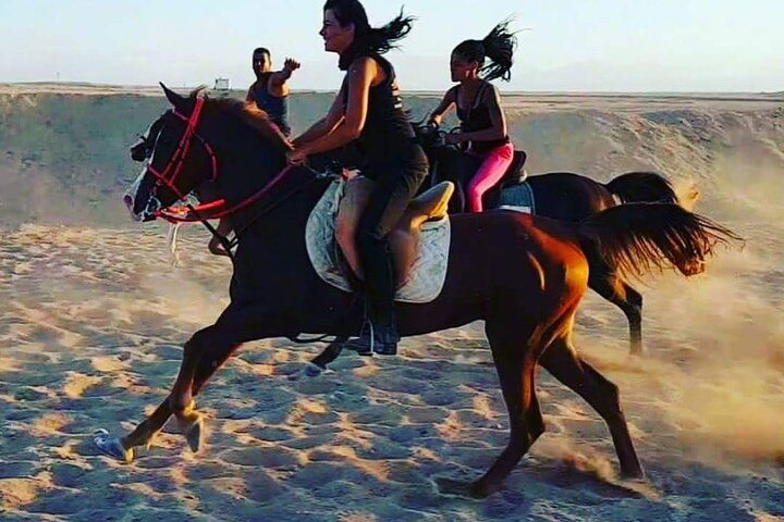 Horse Ride 