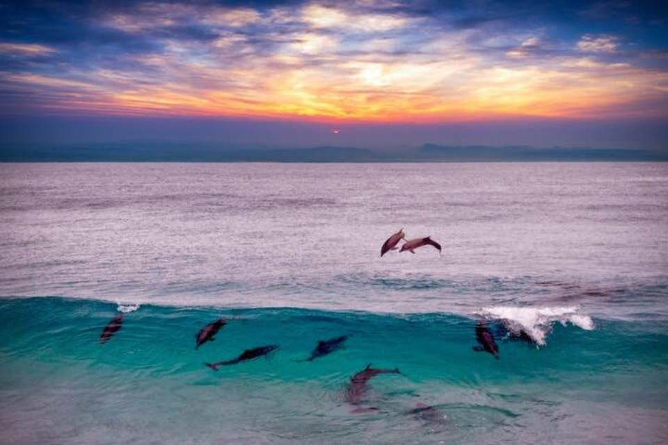 Marsa Alam: Overnight Stay at Sataya Dolphin House + Snorkeling - Photo 1 of 25