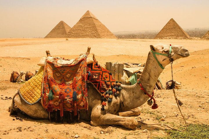 Camel Ride at Giza Pyramids 