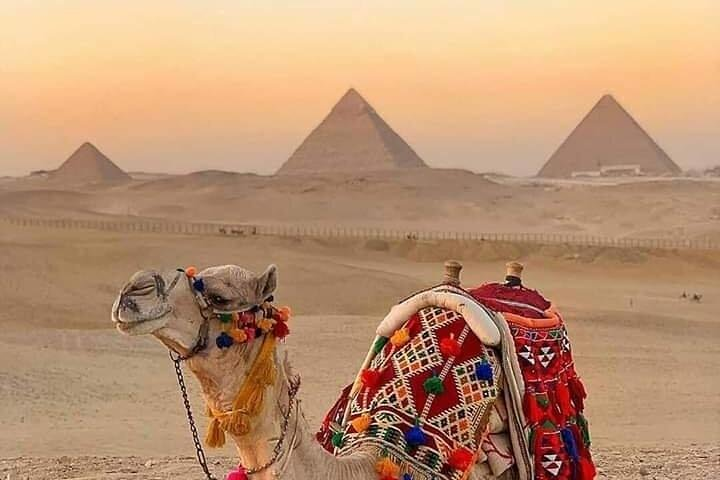 Private Camel Ride at The Pyramids of Giza from Cairo - Photo 1 of 6