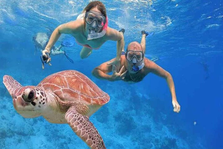 Private Day In Sharm El Sheikh From Cairo By Flight - Photo 1 of 19