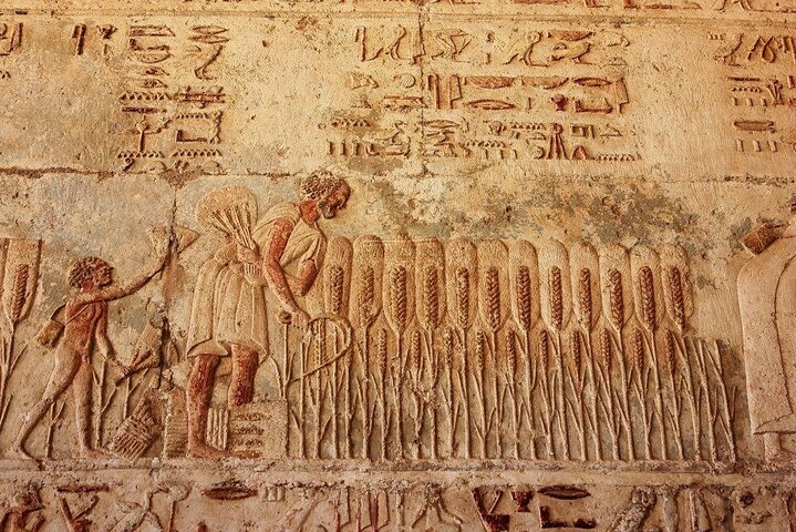 Private Day Tour to El Minya Egypt  - Photo 1 of 6