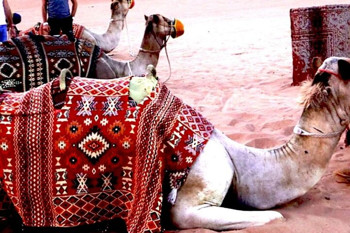 Private Desert Safari in Hurghada - Photo 1 of 2