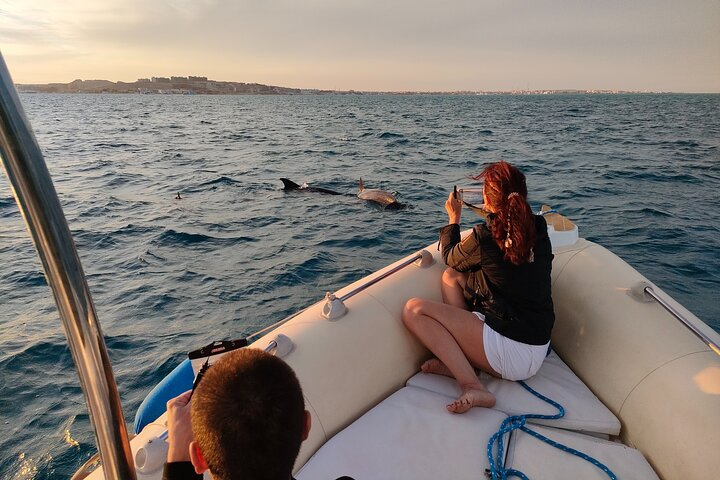 Private Dolphin Watching And Snorkeling Tour - Photo 1 of 21