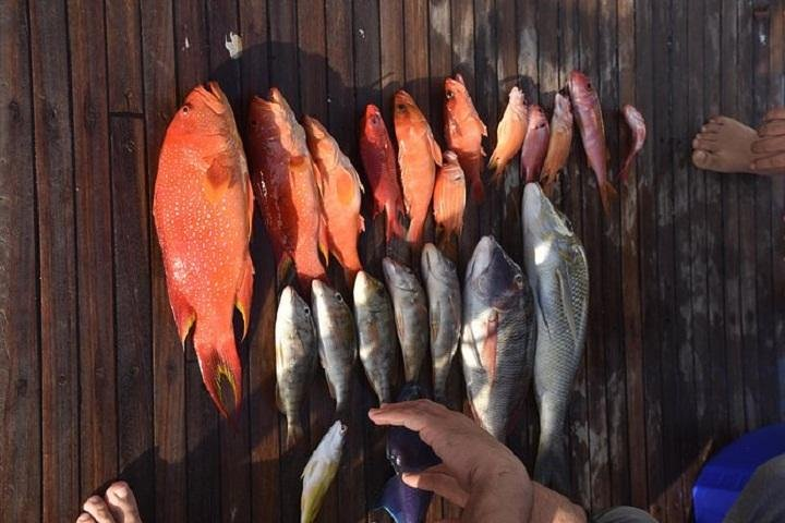 Private Fishing Trip morning - Hurghada - Photo 1 of 8