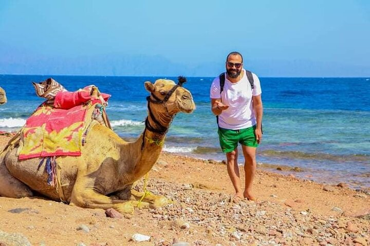 Private Full Day Snorkeling, quad biking In Dahab From Sharm El Sheikh - Photo 1 of 7
