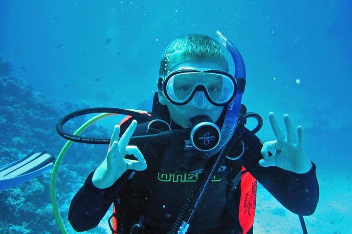 Private Full-Day Snorkeling Tour to Utopia Island from Luxor - Photo 1 of 12